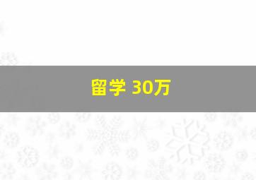 留学 30万